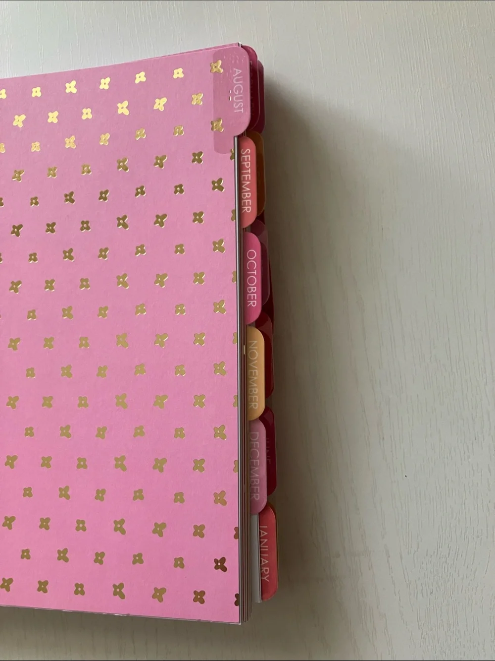 The Creative Expert 17 Month Planner -  August 2026 - December 2027 (NWT)